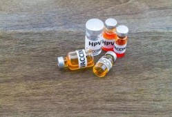 罗山液化气价最新爆料,揭秘市场波动背后的真相