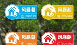 冬璐直播爆料最新消息视频,最新热点事件深度解析