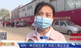 石家庄爆料最新新闻,聚焦城市动态与民生焦点