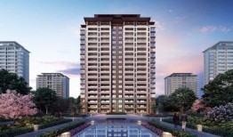 爆料六安楼市最新消息,最新爆料揭示市场动态