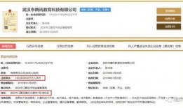 武汉腾讯最新爆料,揭秘科技巨头背后的创新与挑战