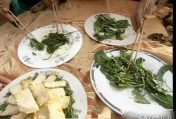 哈尔滨新瓜最新爆料,揭秘背后惊人真相！