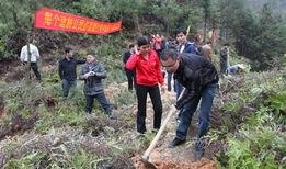 南安梅山镇爆料事件最新