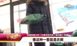 长春快递最新爆料,揭秘行业变革与用户体验新趋势