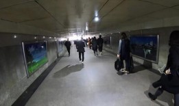 火车站广场爆料视频最新,最新视频揭秘现场实况