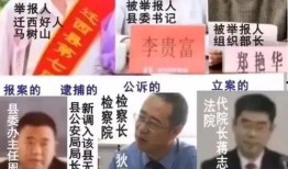 马树山最新爆料,揭秘娱乐圈惊人内幕