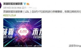 maxy最新爆料,揭秘娱乐圈最新动态与幕后故事