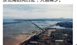 厦门楼市 爆料事件最新,揭秘背后真相与市场动态”