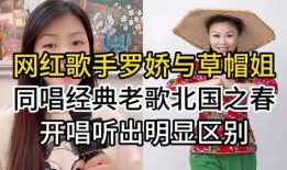 张小寒最新爆料网红歌曲,网红歌曲背后的秘密与魅力