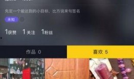 创魔最新视频爆料网站,揭秘神秘网站背后的秘密与未来趋势