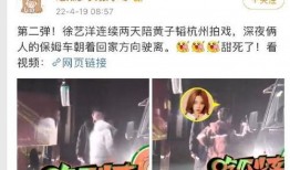 张小寒最新爆料网红歌曲,网红歌曲背后的秘密与魅力