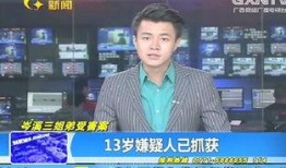 岑溪新闻爆料事件视频最新