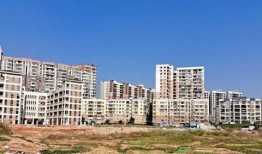 梧州爆料新闻最新消息,突发事件引发社会关注