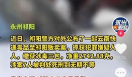 云南抖音爆料案件最新,揭秘网络暴力背后的真相