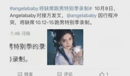 王照达最新爆料视频,事件背后惊人真相