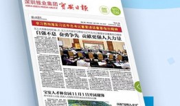 每日爆料深圳新闻网最新消息,每日爆料，聚焦深圳最新动态