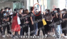 吴磊狗仔爆料视频大全最新,揭秘明星幕后生活瞬间