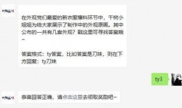 体验服最新爆料小姐姐下载,小姐姐下载功能惊艳亮相，游戏体验再升级！